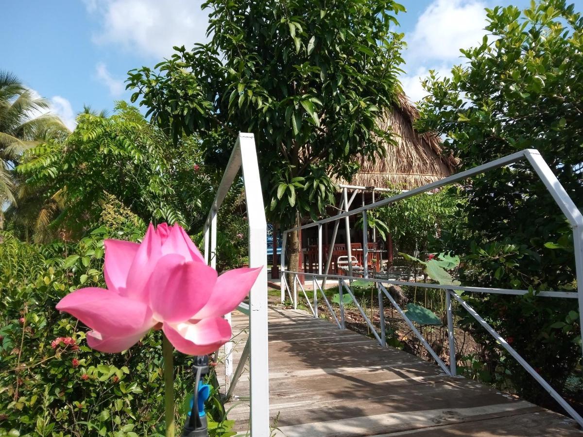 Thach Thao Homestay ミトー エクステリア 写真