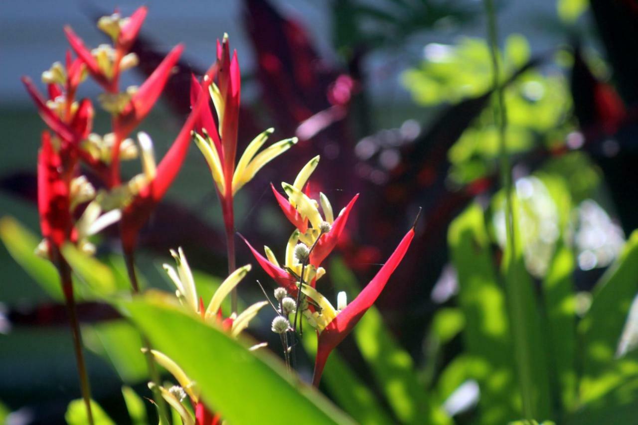 Thach Thao Homestay ミトー エクステリア 写真