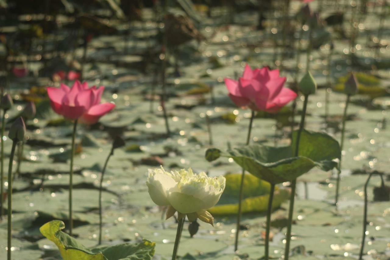 Thach Thao Homestay ミトー エクステリア 写真