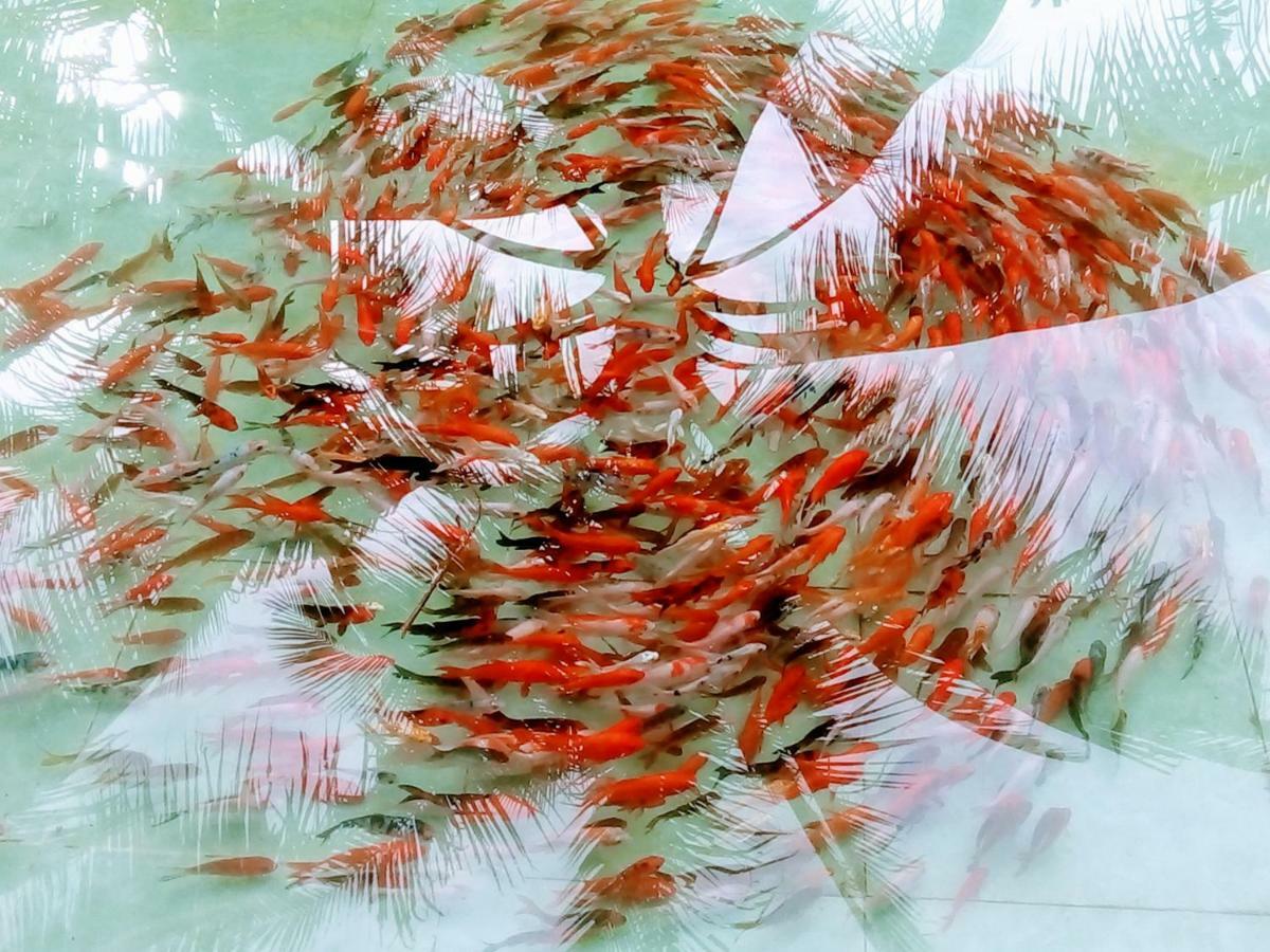 Thach Thao Homestay ミトー エクステリア 写真